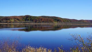 穏やかな水面に周囲の紅葉が映ってとても美しい眺めでした