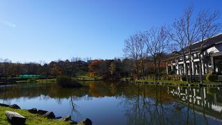 ひょうたん池を中心に茶室も備える美しい日本庭園
