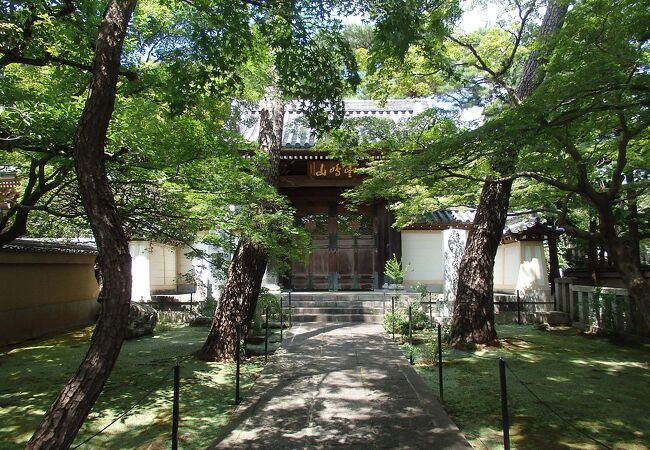 練馬散策(1)で道場寺に行きました