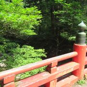 夏は涼しげな神域の風景