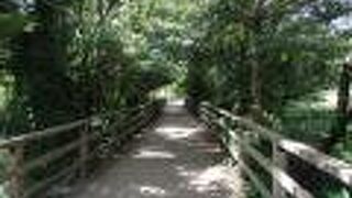 練馬散策(1)で三宝池植物群落に寄りました