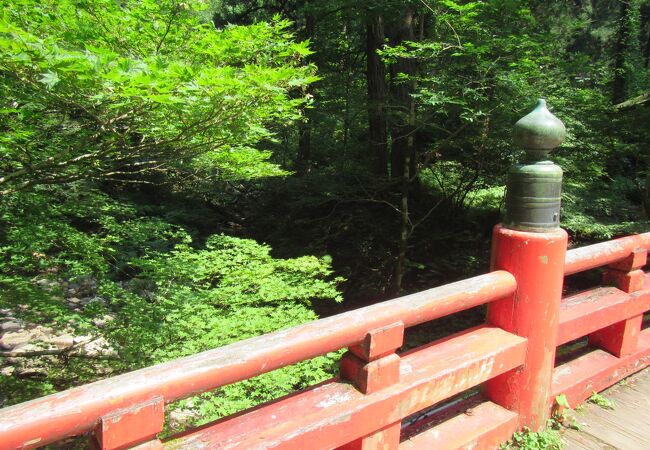 夏は涼しげな神域の風景