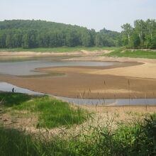 こんな光景は初めて見たなぁ～。
