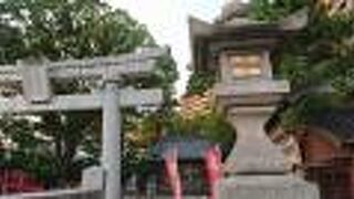 夕方の暮れ切らない時間帯の常夜灯に趣を感じました