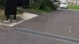 ヴァン ソレイユ カニ