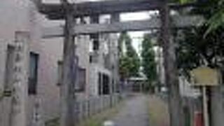 杉山倹校の屋敷に造られた神社です。