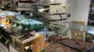 eashion（イーション)＝ eat（食べる）＋fashion（ファッション）