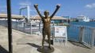 石垣出身なんですね