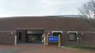 それぞれつがいのタンチョウ鶴