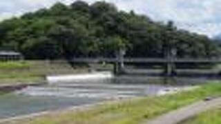 かめやまではなく「きざん」と読む