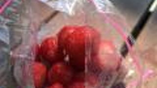 ブルーベリー農園