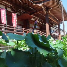 平成５年に再建された建物