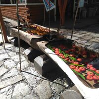 トマトは沈んでいるほうが美味しいらしい。