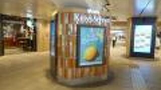 広大な駅ナカ施設。