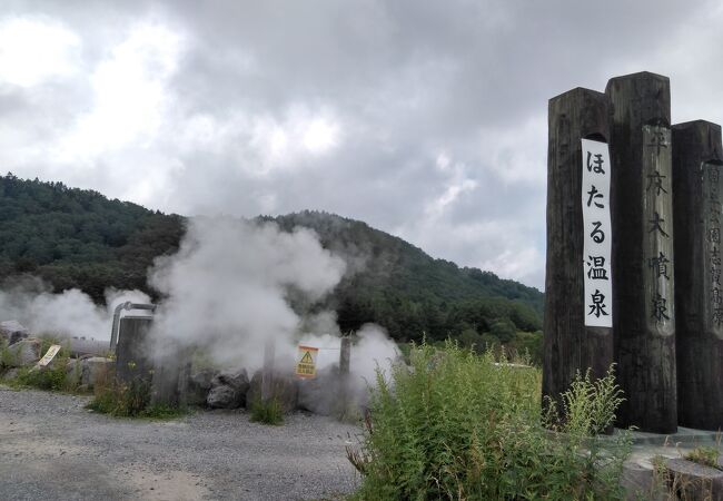 道路脇にあります。