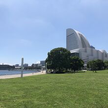 公園の芝生広場