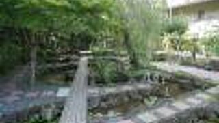 ビオトープ。学校っぽい施設も。