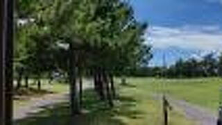 東京のゴルフ場！