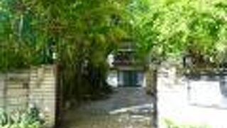 参道沿いに立派な竹林