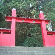 異世界に迷い込んだ雰囲気の神社です