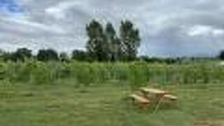 ワイナリーとカフェ