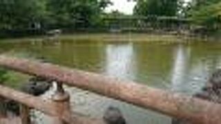 夏休みの時期に訪問