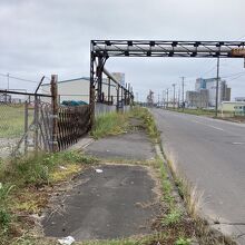 こんな歩道も歩いて