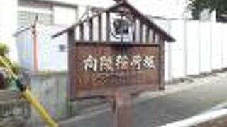この坂を登りきったところに向陵稲荷神社があります。