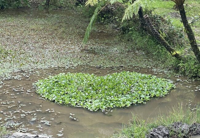 本場奄美大島紬泥染公園 クチコミ・アクセス・営業時間|奄美 本場奄美大島紬泥染公園 クチコミ・アクセス・営業時間|奄美
