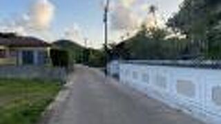 サンゴの石垣♪