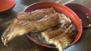 丼からはみ出るうな丼！