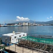 田子の浦港 クチコミ・アクセス・営業時間|富士【フォートラベル】 田子の浦港 クチコミ・アクセス・営業時間|富士【フォートラベル】