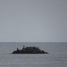遠くの小島では釣りをしている人がいました。