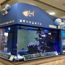 那覇空港の水槽！