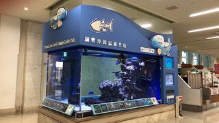 那覇でも楽しめる！