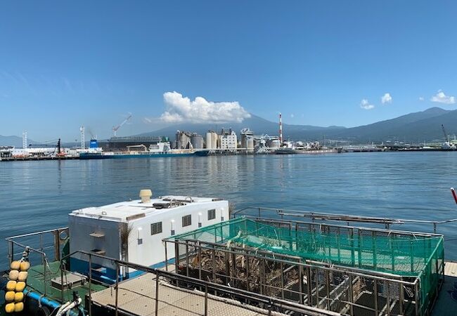 田子の浦港 クチコミ・アクセス・営業時間|富士【フォートラベル】 田子の浦港 クチコミ・アクセス・営業時間|富士【フォートラベル】