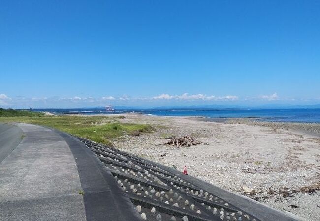 ウミガメ産卵地