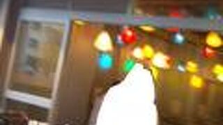 おいしい台湾の料理ですね。