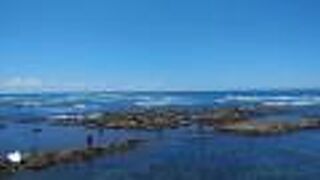 ちょっとした岩場で磯遊びに最適