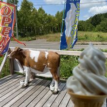 カマンベールソフトクリームとテラス席の牛