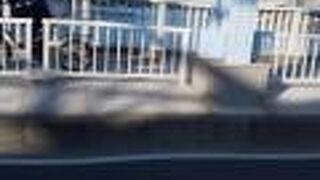 スカイツリーを眺めながら渡る