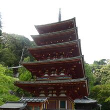 五重塔を近くで見ました