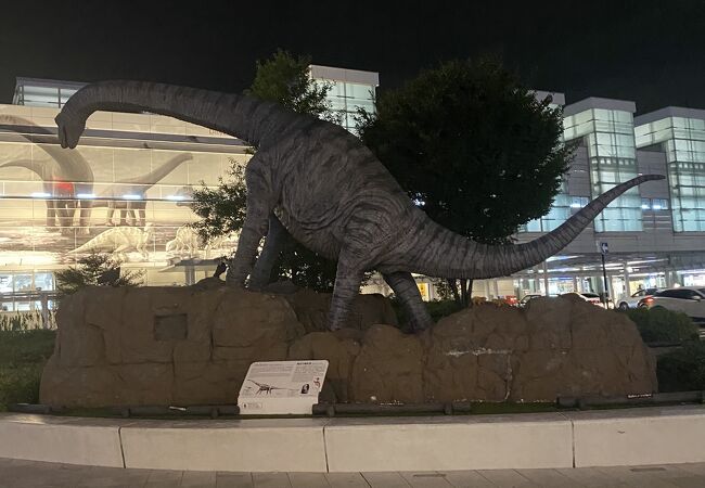 福井駅 恐竜広場 クチコミ アクセス 営業時間 福井市 フォートラベル 福井駅 恐竜広場 クチコミ アクセス 営業時間 福井市 フォートラベル