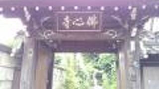 ヒマラヤ杉の近くにあります。