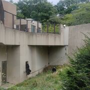 円山動物園チンパンジー館