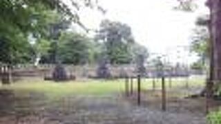 二度目の訪問です。