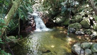 ターザンロープ完備