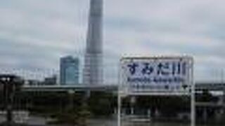 隅田川とスカイツリー