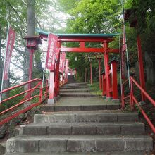 これ登る気力無し