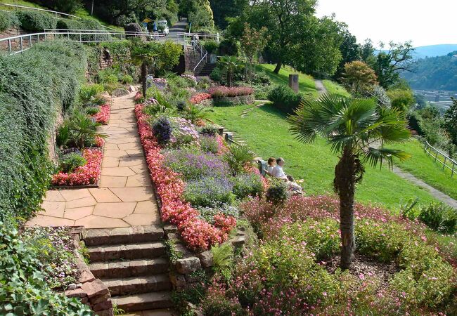 上り下りの多い斜面の小道、哲学者の道